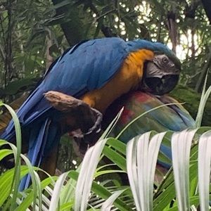 Meet your Posher, Anne